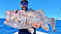 Assassin Spinmaster 15 Assassin Spinmaster -Reels Shop 18kgDhuCover