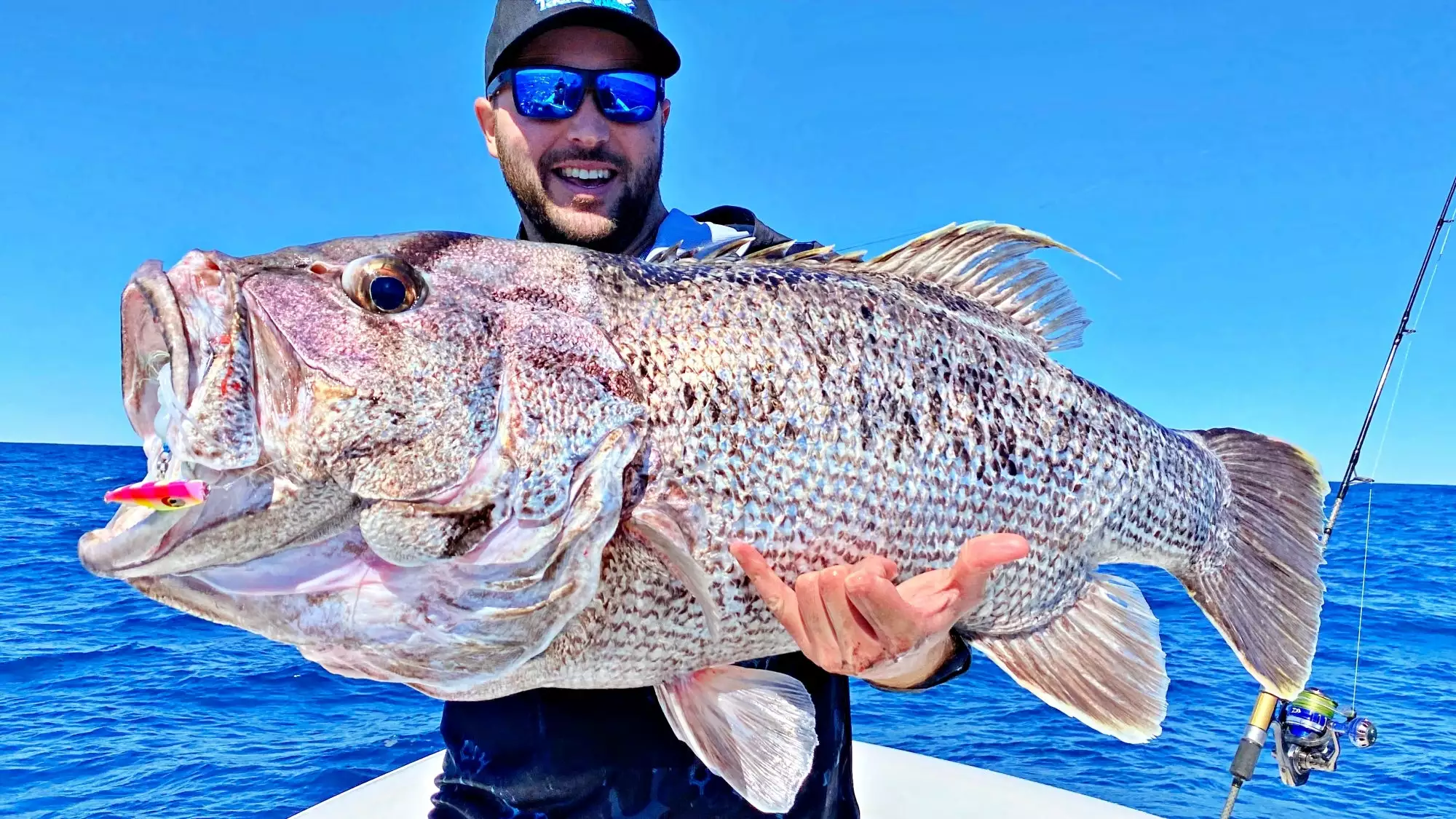 Assassin Spinmaster 8 Assassin Spinmaster - Image 8