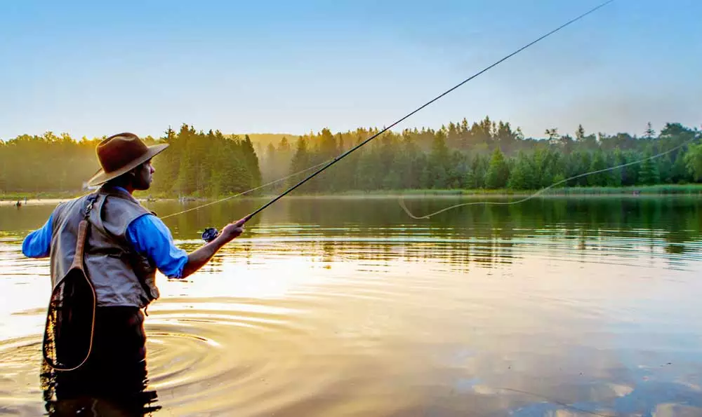 Front Page -Reels Shop 19