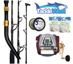 Daiwa Seaborg 1200 / Tanacom Electric Combo 2x Rigs