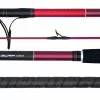 Daiwa Sensor Surf IZM