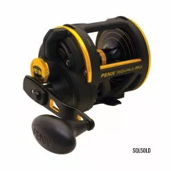 PENN Squall Lever Drag -Reels Shop PennSquallReel50