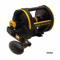 PENN Squall Lever Drag -Reels Shop PennSquallReel60