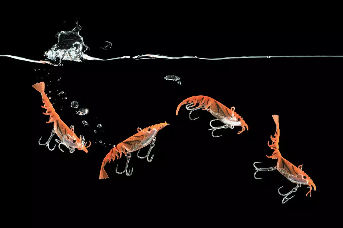 Berkley Shimma Shrimp 3 Berkley Shimma Shrimp - Image 3