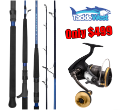 Daiwa Combo BG ARK/Saltist X