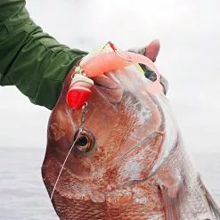 Vexed Idict 19 Vexed Idict -Reels Shop iDict Snapper 52e967bb e7b6 40e4 955b b95d0db8cd16