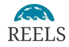 Reels Shop