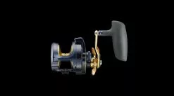 Daiwa 22 Saltiga Jigging Star Drag -Reels Shop pro04 88e6d118 d7f4 4ba0 8fb5 ac791b53d49d